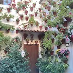 Daire El Capricho De San Fernando, Consigna Gratis Y Parking A 200mts Cordoba