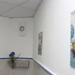 Daire El Capricho De San Fernando, Consigna Gratis Y Parking A 200mts *