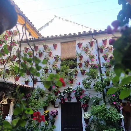 El Capricho De San Fernando, Consigna Gratis Y Parking A 200mts * Cordoba