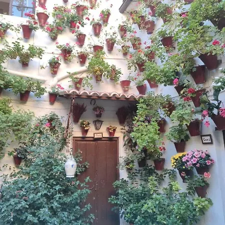 Apartment El Capricho De San Fernando, Consigna Gratis Y Parking A 200mts Cordoba
