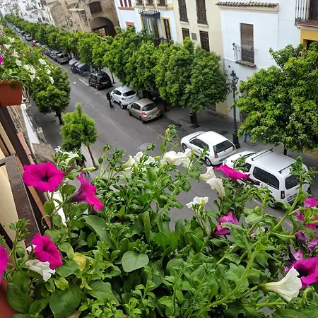 Daire El Capricho De San Fernando, Consigna Gratis Y Parking A 200mts *
